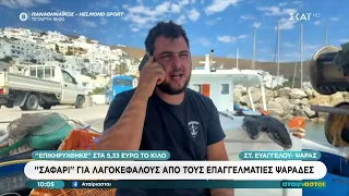 "Σαφάρι" για λαγοκέφαλους από τους επαγγελματίες ψαράδες | Αταίριαστοι | 29/06/2026