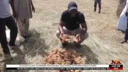 Kachia Ginger Farmers Get Support From the Bank of Agriculture After Blight Losses