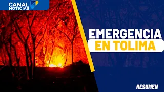 Presidente Abelardo de la Espriella anuncia grupo élite por incendios en Tolima | Noticias Canal 1