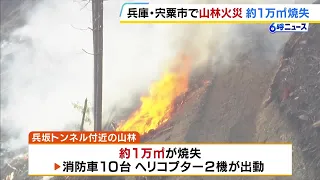 [Approx. 10,000 Square Meters of Forest Destroyed] "It Was Already On Fire When We Noticed": Logg...