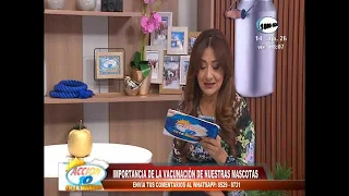 Vacuna a tu mascota a los 45 días: recomendaciones de especialista en tenencia responsable