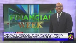 Tropical Battery Returns To Profitability Following Revenue Growth For FY2025  | TVJ Business Day