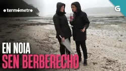 Sen BERBERECHO en NOIA | O TERMÓMETRO