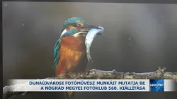 Dunaújvárosi fotóművész munkáit mutatja be a Nógrád Megyei Fotóklub 560. kiállítása Dunaújvárosi fotóművész munkáit mutatja be a Nógrád Megyei Fotóklub 560. kiállítása