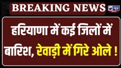 हरियाणा में कई जिलों में बारिश, रेवाड़ी में ओले गिरे | India News Haryana
