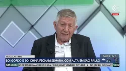 Boi gordo e Boi China fecham semana com alta em São Paulo