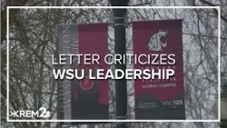 Faculty at Washington State University say school is declining, points finger at leadership