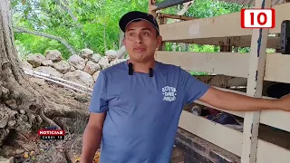 50,000 Plants Against the Heat: REPSERAM Created a New Strategy