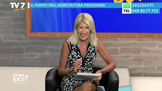 Tv7 with You 9/9/2026 - A Status Report on Paduan Agriculture