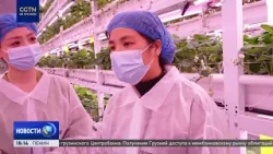 Китай добивается успехов в борьбе с бедностью через укрепление продовольственной безопасности