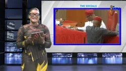 TMI :Senate President  Directs Nationwide Stocking of Anti-Venom Following Singer’s Snakebite Death