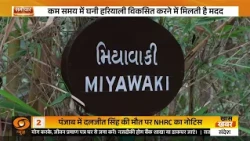 गुजरात के एकता नगर में मियावाकी वन, प्रकृति संरक्षण की खास पहल | Samachar | DD News