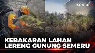 Mount Semeru Slopes in Lumajang Catch Fire, Joint Team Deployed to Extinguish Flames | KOMPAS PETANG