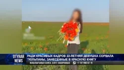 Букет тюльпанов за 11 миллионов тенге: студентка "хайпанула" в Tik-Tok