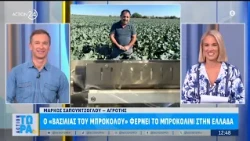 Ο αγρότης της χρονιάς που κατέκτησε την αγορά με το «μπροκολίνι» μιλά στο ACTION 24
