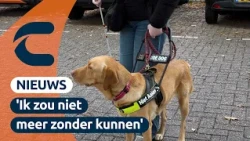 Luna can’t live without her guide dog: 'She helps me save my energy' | Connect