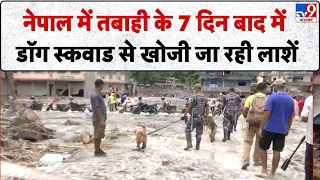 Nepal Flash Flood Updates: नेपाल में तबाही के 7 दिन बाद में डॉग स्कवाड से खोजी जा रही लाशें-TV9