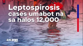 Leptospirosis cases umabot na sa halos 12,000; 10 rehiyon lampas epidemic threshold — PUP