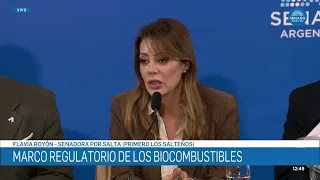 SENATOR FLAVIA ROYÓN 3 - MINING, ENERGY, AND BUDGET PLENARY SESSION 09/03/26