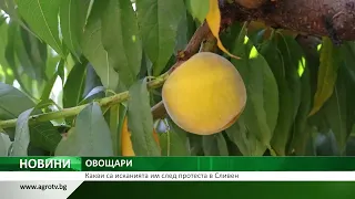 ОВОЩАРИ: Какви са исканията им след протеста в Сливен