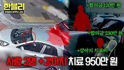 [한블리] 콩 한 번에 일주일 입원+950만 원💸 물거품이 된 개인택시 준비💧 | 한블리 (한문철의 블랙박스 리뷰) 189회 | JTBC 261006 방송