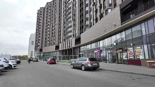 Mass bird die-off reported in Ivanovo: An animal advocate's account