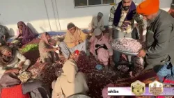 350 Sala Shaheedi Yatra - Baba bakala, Amritsar (Ep 3)