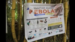 Ebola en RDC : la Centrafrique renforce les contrôles à ses frontières