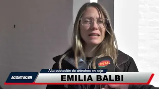 ACONTECER August 20, 2nd Part - Emilia Balbi: Stink Bugs in Soybeans