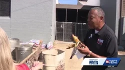Rob and Allie at the Mississippi State Fair: Roasted corn