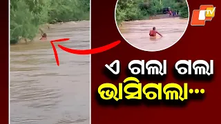 Man Swept Away by Fierce Flood Current in Bhadrak, Rescued Safely