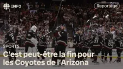 Hockey : la fin des Coyotes de l'Arizona? | D'abord l'info