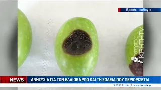 Ανάσα στις καλλιέργειες από τα πρωτοβρόχια
