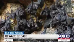 Alabama Department of Public Health issues advisory on Bats