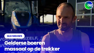 GLD Nieuws 14 augustus 2026