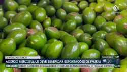 Acordo Mercosul-UE deve beneficiar exportações de frutas