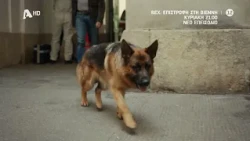 REX, Επιστροφή στη Βιέννη | Κυριακή 21:00