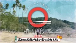 【高知の“うまい！”を巡る】 後編　|植野食堂 #513 2026年3月17日放送