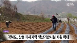 경북도, 산불 피해지역 생산기반시설 지원 확대 / 안동MBC