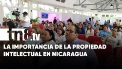 Propiedad intelectual: Conocé cuántas marcas registradas hay en Nicaragua