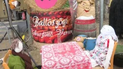 Több százan mulattak a Ballószögi Kolbásztöltő Versenyen Több százan mulattak a Ballószögi Kolbásztöltő Versenyen