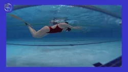 DSTV | BÚVÁRÚSZÁS