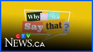 Two Shakes of a Lamb's Tail | Why Do We Say That?