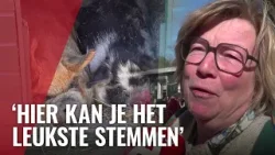 Van Nieuwe Kerk tot kinderboerderij: hier stemmen A'dammers