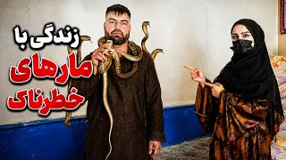 Living with vanomous snakes, Freshta Azimi Reports / زندگی با مارهای زهرآگین در گزارش فرشته عظیمی