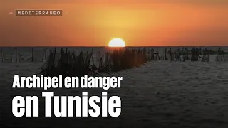 Archipel en danger en Tunisie