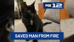 SE Portland business owner credits cat with saving his life after house fire SE Portland business owner credits cat with saving his life after house fire