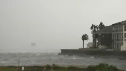 Hurricane Isaias Slams Gulf Coast