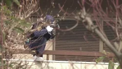 住宅の浴槽から高齢女性の遺体がみつかった事件　警察は殺人容疑などで知人の４０代男の逮捕状を請求する方針…男は事件後に海外へ出国していて公開手配へ　大阪・堺市（2026年3月19日）