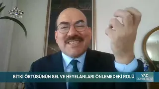 Summer Chats | Senior Forest Engineer İsmail Belen